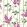 Wisteria Wallpaper by Cole & Son Magenta & Leaf Green on White