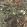 Woodland Wallpaper by Cole & Son Coral, Olive & Charcoal