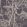 Cow Parsley Wallpaper by Cole & Son Linen/Charcoal