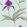 Orchid Wallpaper by Cole & Son 27