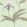 Orchid Wallpaper by Cole & Son 28