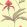 Orchid Wallpaper by Cole & Son 33