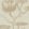 Lily Wallpaper by Cole & Son 19