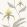 Orchid Wallpaper by Cole & Son 57