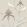 Orchid Wallpaper by Cole & Son 58