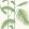 Palm Wallpaper by Cole & Son 9