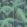 Palm Jungle Wallpaper by Cole & Son 3