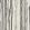 Strand Wallpaper by Cole & Son 7035