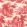 Villandry Wallpaper by Cole & Son 1004
