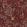 Chiavi Segrete Wallpaper by Cole & Son Autumnal Leaves