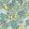 Frutto Proibito Wallpaper by Cole & Son Print Room Blue and Lemon