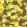 Puzzle Wallpaper by Cole & Son 2012