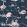 Flamingos Wallpaper by Cole & Son 11041