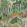 Miami Fabric by Cole & Son Olive Green Multi