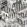 Miami Fabric by Cole & Son Black & White
