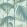 Palm Jungle Wallpaper by Cole & Son 1001