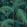 Palm Jungle Fabric by Cole & Son Viridian & Petrol on Charcoal