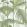 Palm Jungle Fabric by Cole & Son Olive Green on White