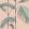 Palm Leaves Wallpaper by Cole & Son 2005