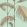 Palm Leaves Wallpaper by Cole & Son 2006