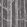 Woods Fabric by Cole & Son Parchment/Charcoal