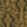 Hollywood Palm Wallpaper by Cole & Son Charcoal/Gold