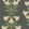 Angels Trumpet Wallpaper by Cole & Son 3006