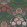Flamenco Fan Wallpaper by Cole & Son 14044