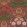 Flamenco Fan Wallpaper by Cole & Son 14046