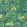 Geranium Wallpaper by Cole & Son 11032