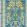Triana Wallpaper by Cole & Son 5013