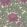 Aurora Wallpaper by Cole & Son 1