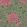 Aurora Wallpaper by Cole & Son 2
