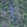 Woodvale Orchard Wallpaper by Cole & Son 19