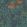 Nautilus Wallpaper by Cole & Son Dark Green