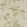 Alderney Wallpaper by Colefax and Fowler Cream