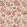 Carmen Fabric by Colefax and Fowler Red/Sienna
