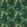 Congo Outdoor Fabric by Clarke & Clarke Forest