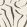 Contour Wallpaper by Black Edition Avocet