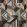 Convexe Fabric by Casamance Noir / Tabac