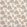 Coppice Fabric by Prestigious Textiles Woodrose
