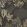 Corail Wallpaper by Casadeco Noir Fusain