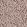 Coral Wallpaper by Josephine Munsey Spicer Brown