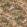Country Walk Wallpaper by Mulberry Home Red/Green