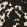 Cowhide Fabric by MINDTHEGAP Black and White