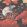 Crane Bird Wallpaper by Woodchip & Magnolia Japanese Red
