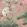 Crane Bird Wallpaper by Woodchip & Magnolia Vintage Pink