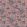 Crane Fonda Wallpaper by Divine Savages Coral