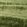 Curzon Fabric by Zoffany Deep Fern