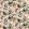 Dance Of Adornment Fabric by Harlequin Pomegranate / Grounded / Incense